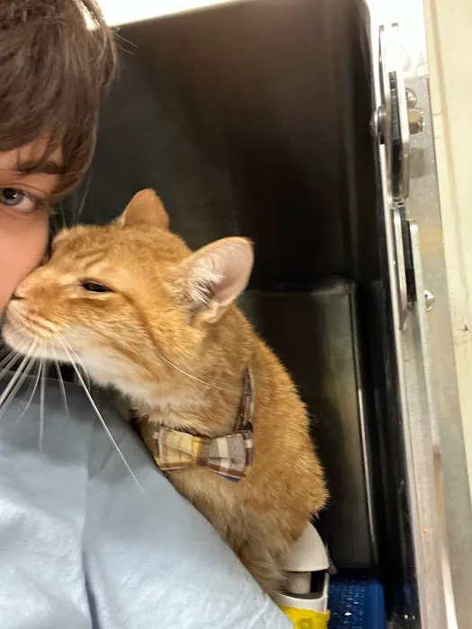 Trenton Animal Clinic 7