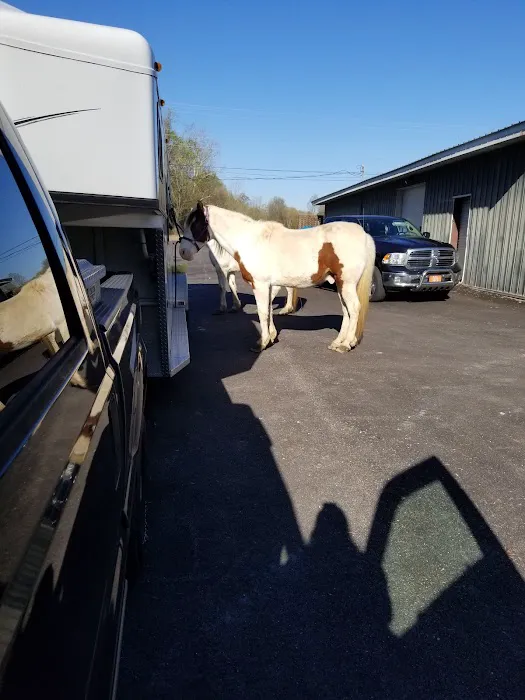 Trenton Animal Clinic 1