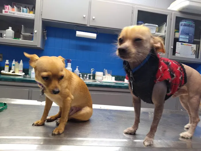 Trenton Animal Clinic 8