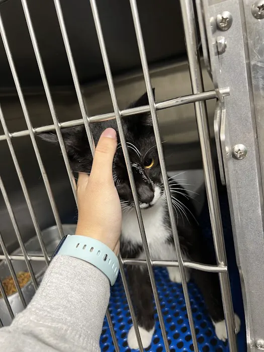 Trenton Animal Clinic 9