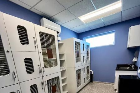 Clarksville Animal Clinic