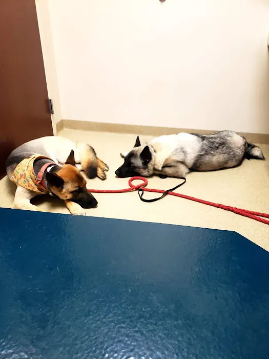 Fort Campbell Veterinary Center 2