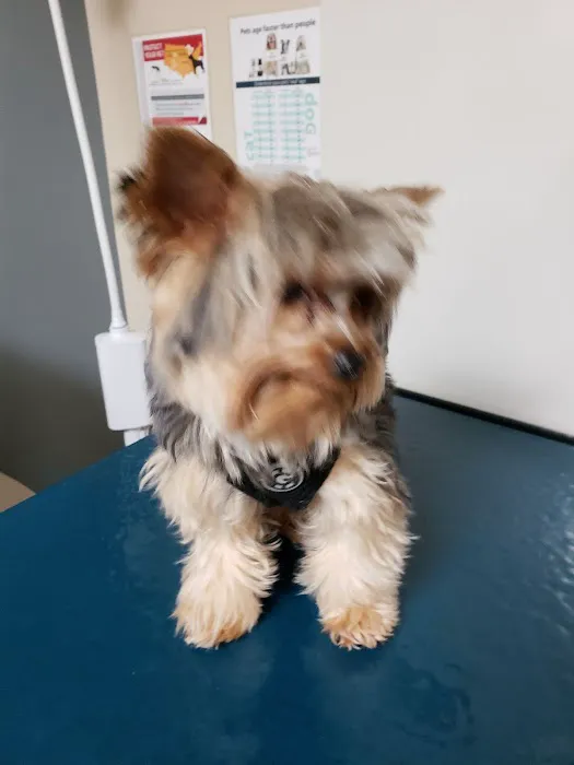Fort Campbell Veterinary Center 5