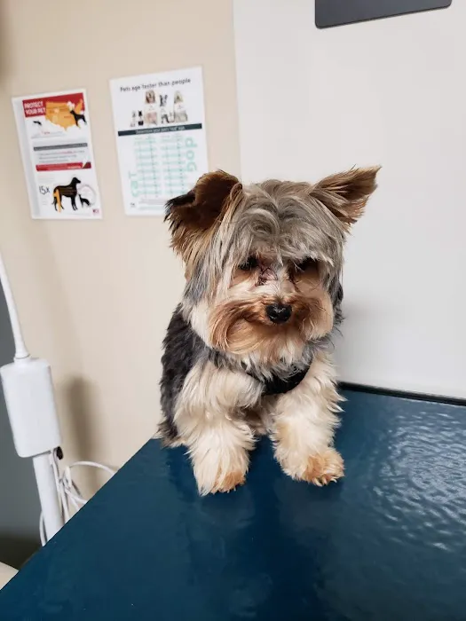 Fort Campbell Veterinary Center 8