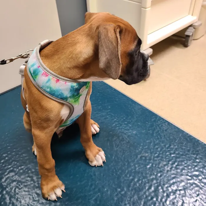 Fort Campbell Veterinary Center 3
