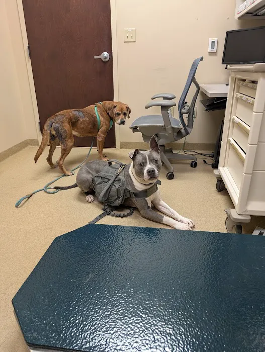Fort Campbell Veterinary Center 1