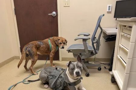 Fort Campbell Veterinary Center
