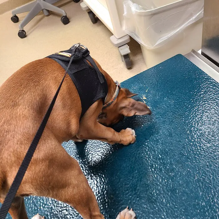 Fort Campbell Veterinary Center 4