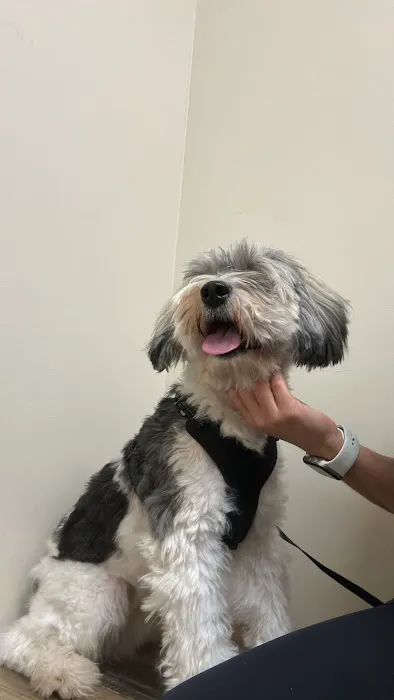 Vetco Total Care Animal Hospital 2