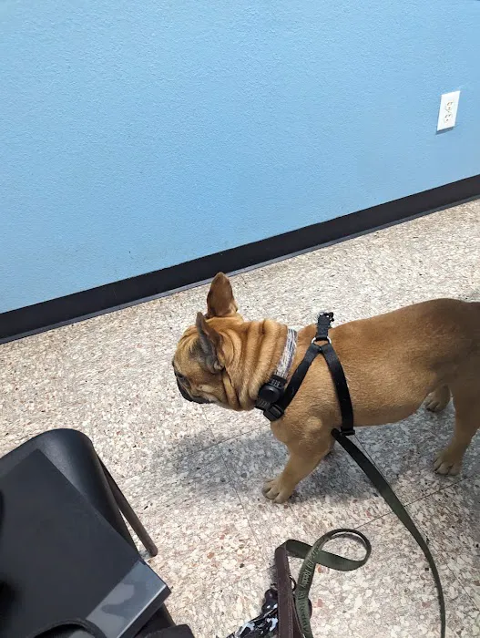 Pflugerville Animal Hospital 3