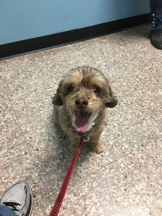Pflugerville Animal Hospital 2
