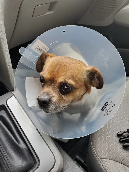 Pflugerville Animal Hospital 8
