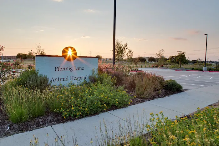 Pfennig Lane Animal Hospital 5