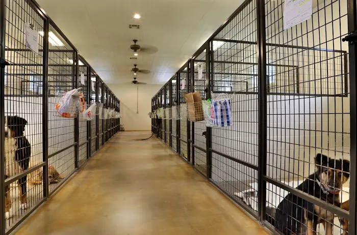 VCA Hometown Animal Hospital 6