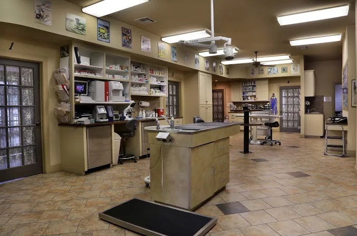 VCA Hometown Animal Hospital 4
