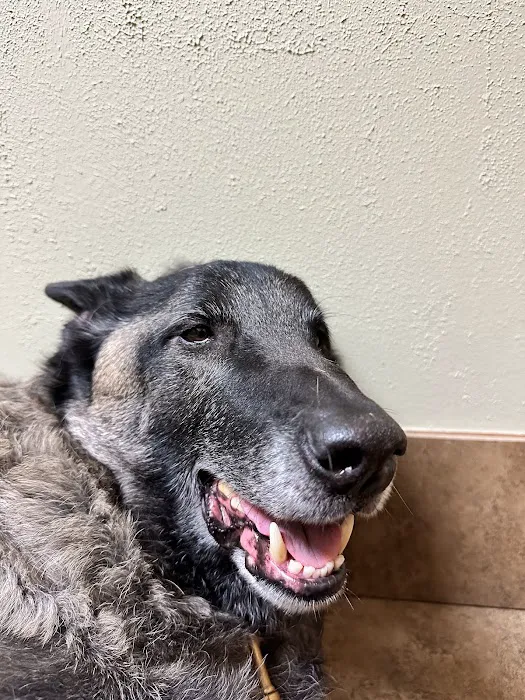 Central Texas Animal Hospital 8