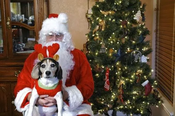 Central Texas Animal Hospital 7