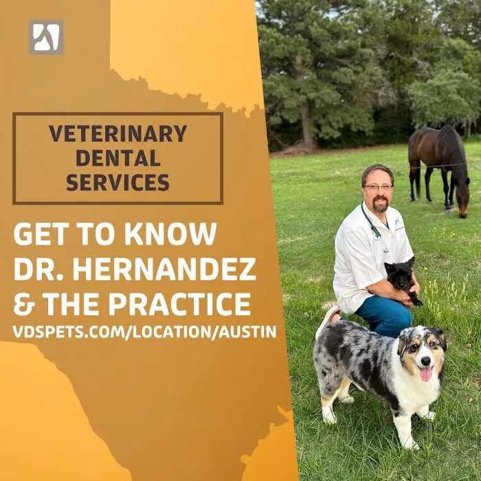 Veterinary Dental Specialties & Oral Surgery 8
