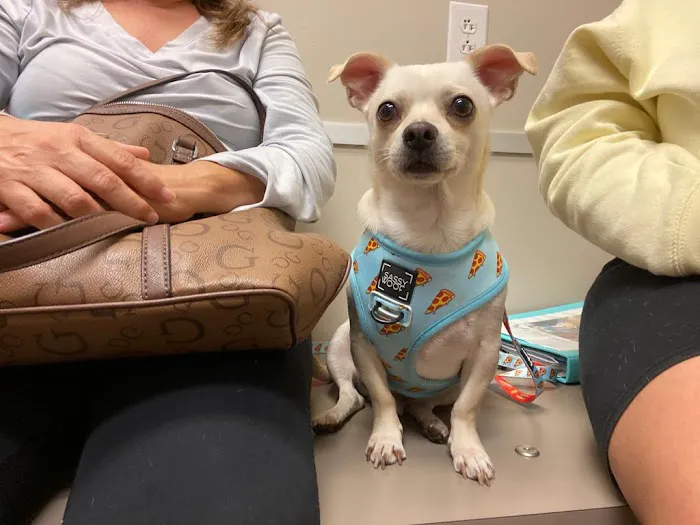 White Rock Veterinary Hospital 1