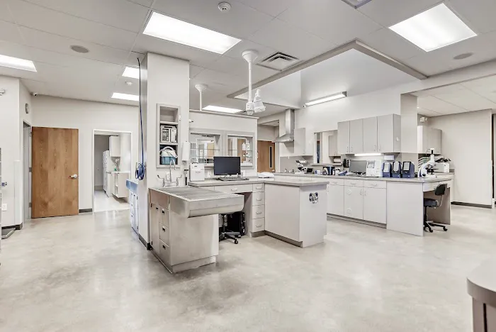 White Rock Veterinary Hospital 9