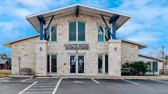 White Rock Veterinary Hospital 6