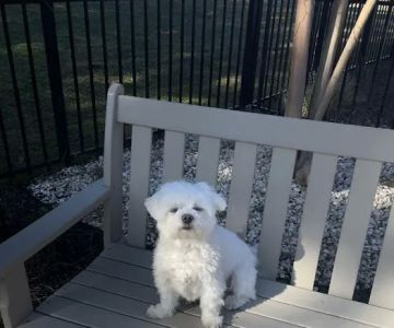 Franklinton Animal Hospital