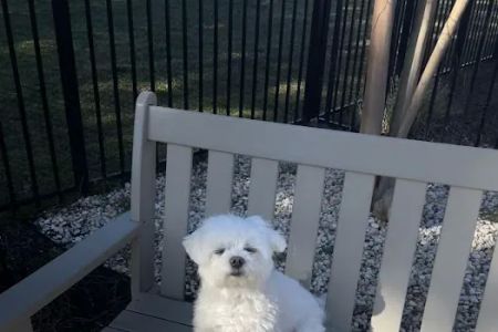 Franklinton Animal Hospital
