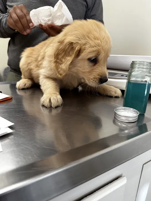 Laurel Stone Veterinary Hospital 12