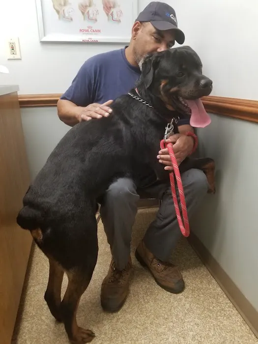 Laurel Stone Veterinary Hospital 12