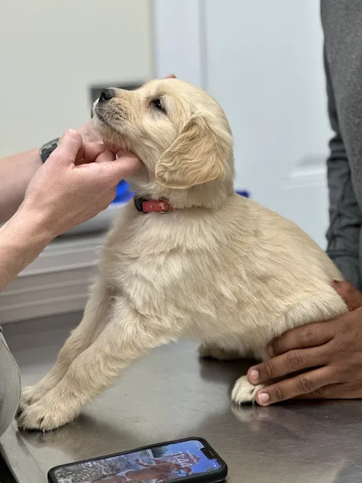 Laurel Stone Veterinary Hospital 12