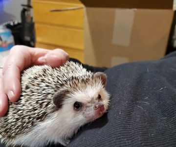 Ash Creek Animal Clinic