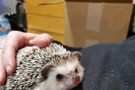 Ash Creek Animal Clinic
