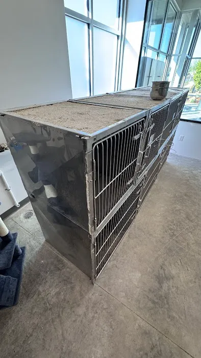 RAD Pets Affordable Surgery Ctr 12