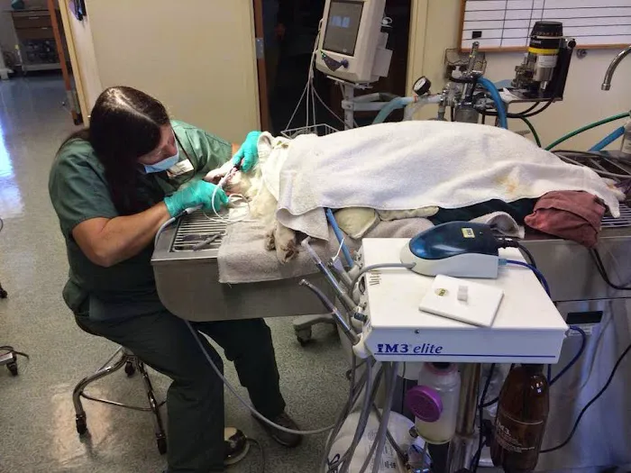 West Hills Animal Hospital 12