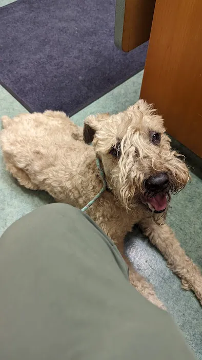 West Hills Animal Hospital 12