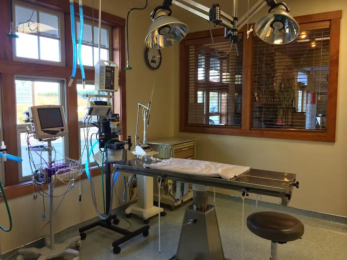 West Hills Animal Hospital 12