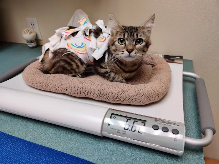 West Hills Animal Hospital 12