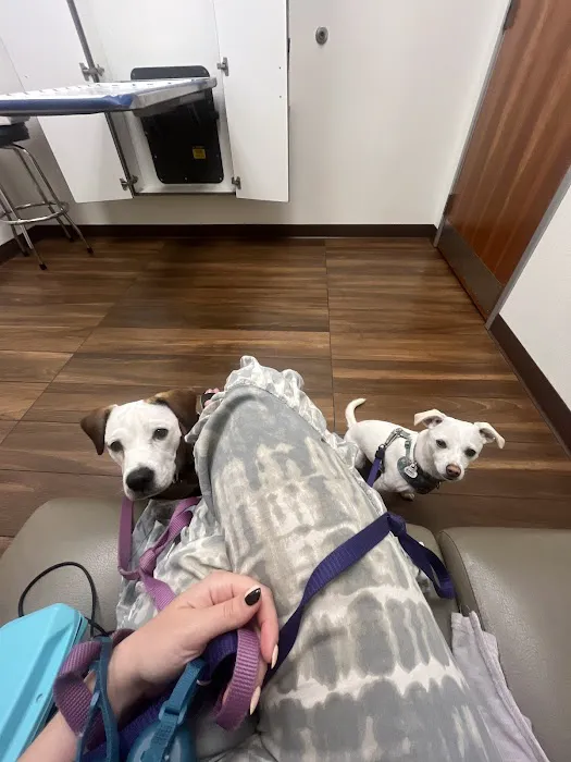 VCA Delta Oaks Animal Hospital 1