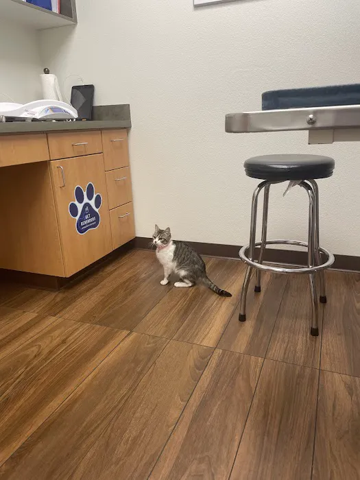 VCA Delta Oaks Animal Hospital 4