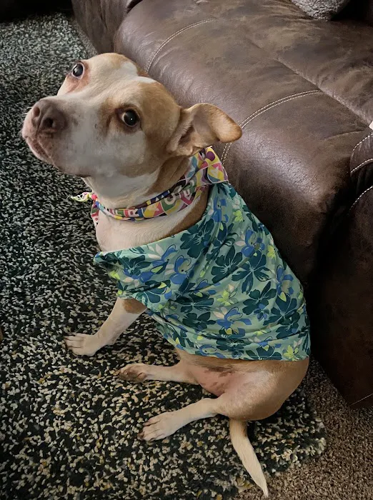 VCA Delta Oaks Animal Hospital 7