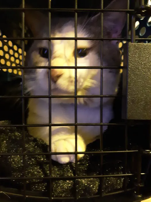 Willamette Animal Guild (WAG) Spay/Neuter & Wellness Clinic 8