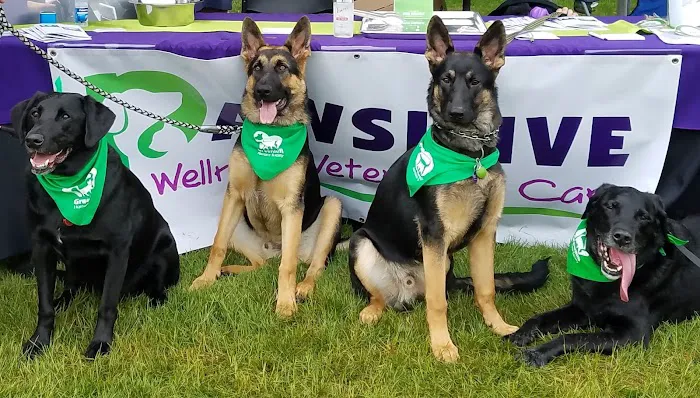 Pawsitive Wellness Veterinary Care LLC 5