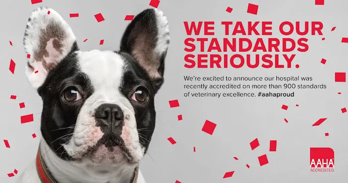 Pawsitive Wellness Veterinary Care LLC 7