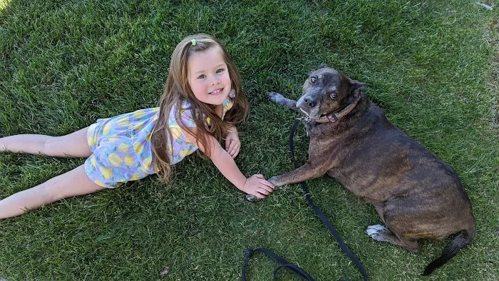 Willakenzie Animal Clinic 10