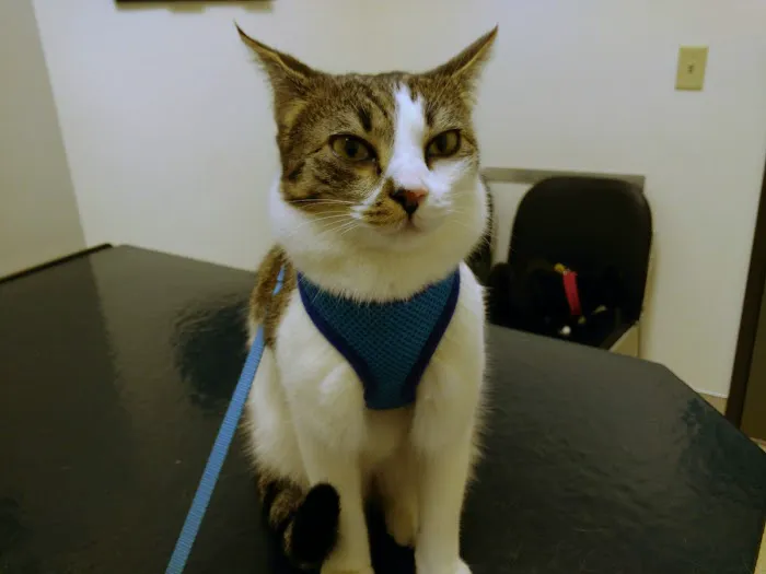Four Corners Veterinary Clinic 2