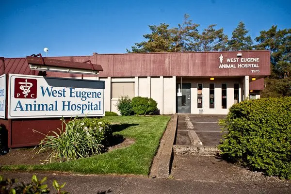 West Eugene Animal Hospital 3