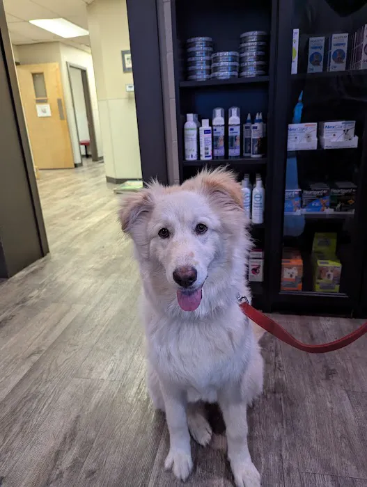 West Eugene Animal Hospital 9