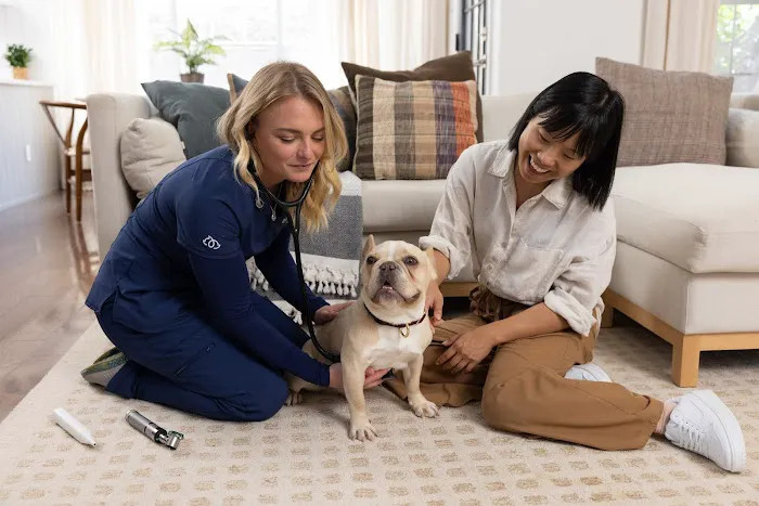 The Vets - Mobile Vet Care in Eugene (Formerly BetterVet) 4