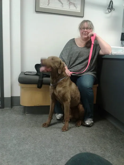 VCA Westmoreland Animal Hospital 1