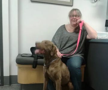 VCA Westmoreland Animal Hospital